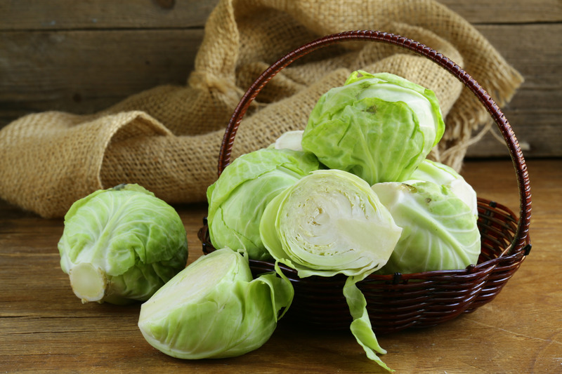 Picture of White cabbage