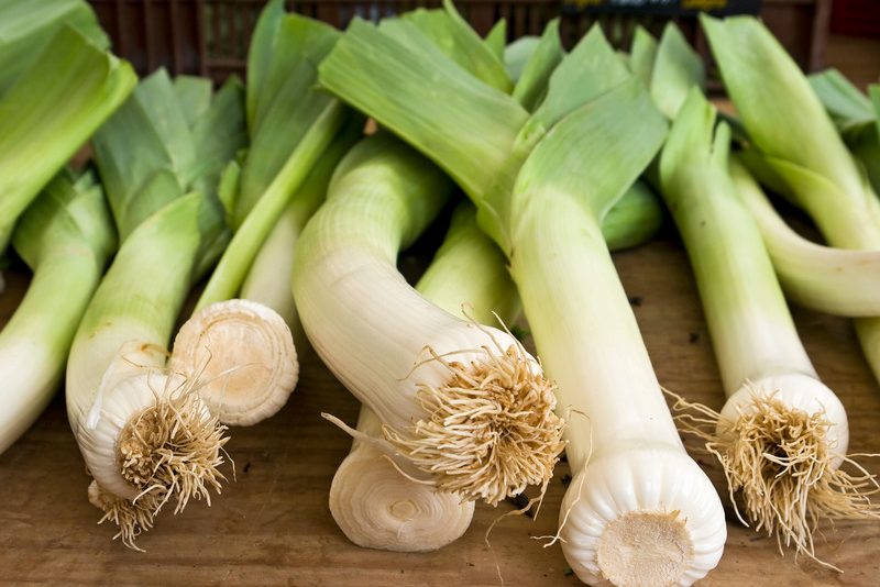 Picture of Leek
