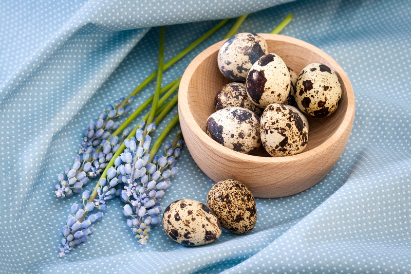 Picture of Quail egg