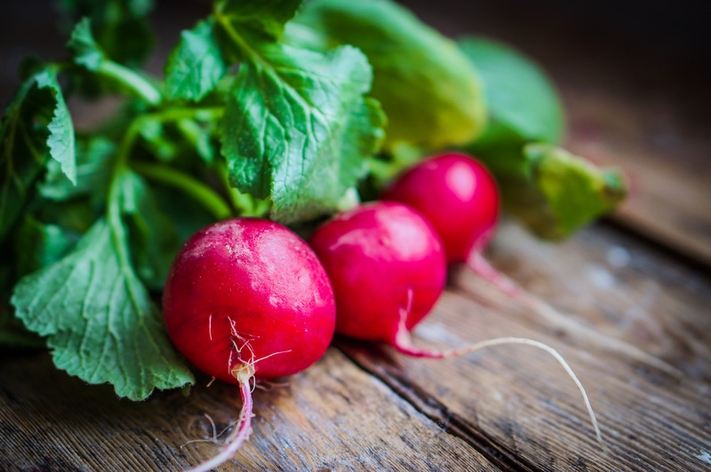 Picture of Red radish