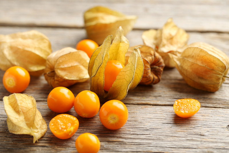 Picture of Physalis