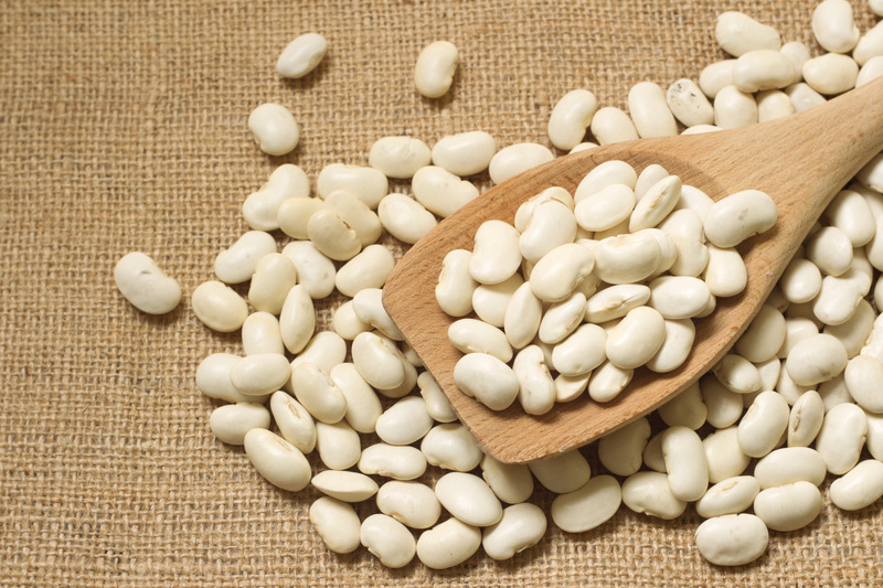 Picture of White bean