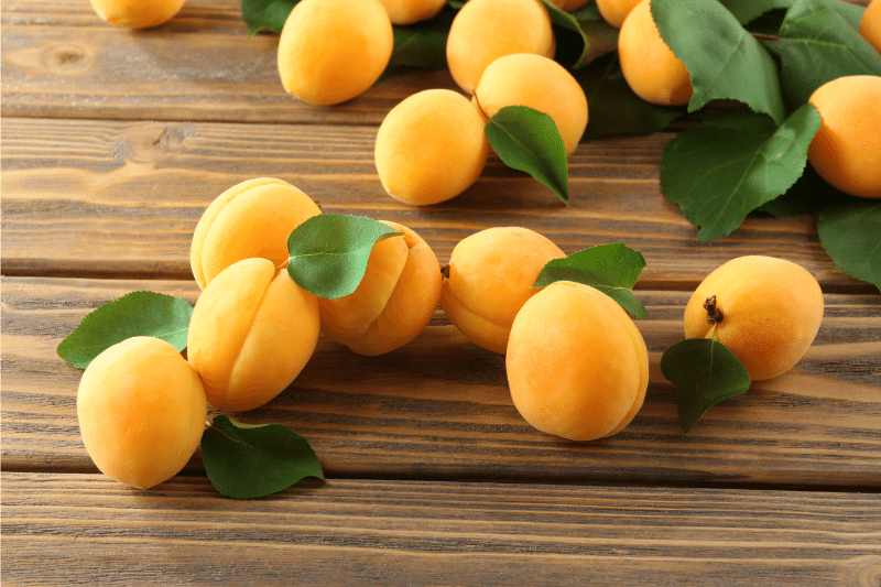 Picture of Apricot