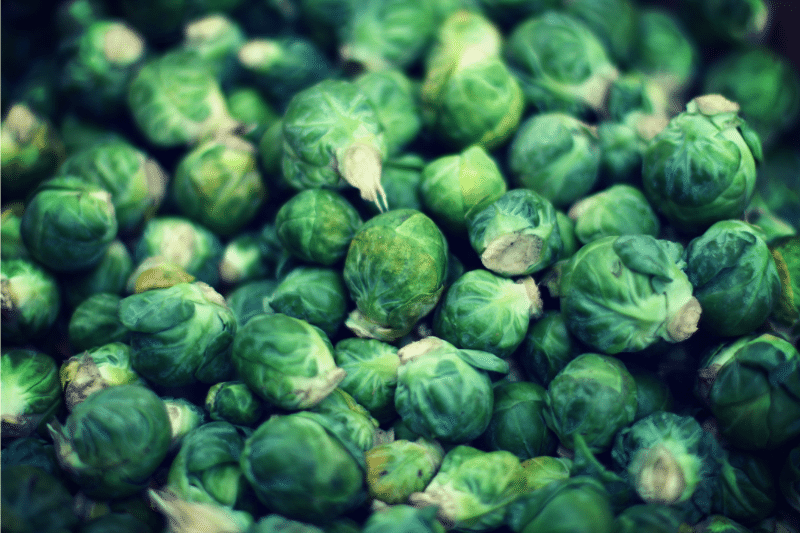 Picture of Brussels sprouts