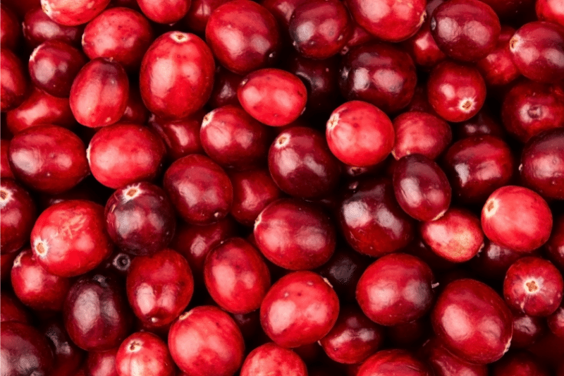 Picture of Cranberry