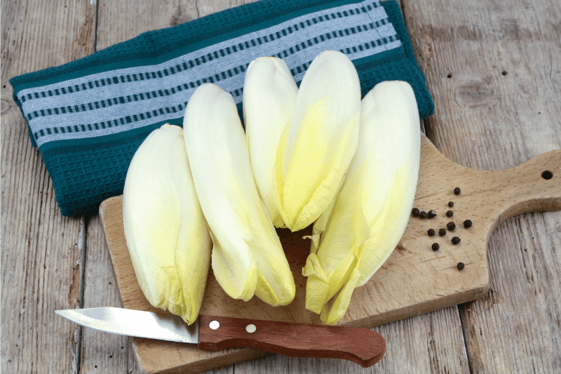 Picture of Endive