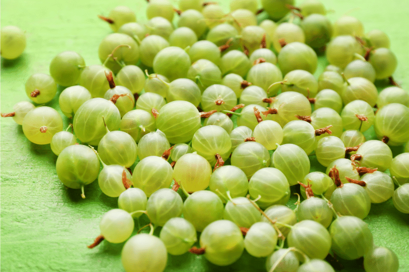 Picture of Gooseberry