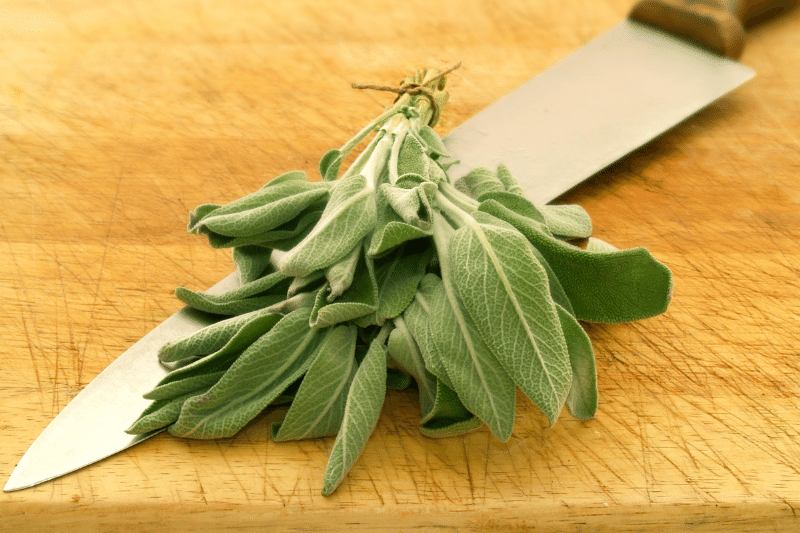 Picture of Sage